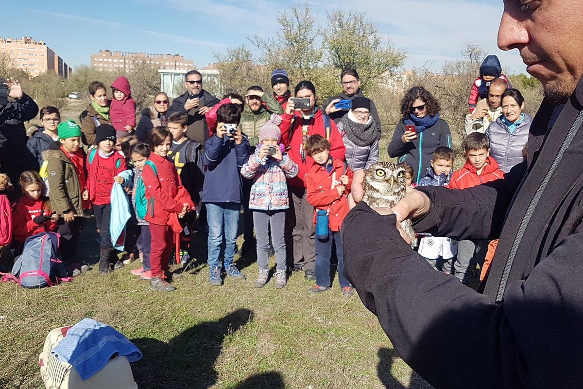 El Parque del Humedal de Coslada cuenta con un nuevo inquilino