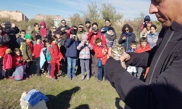 El Parque del Humedal de Coslada cuenta con un nuevo inquilino