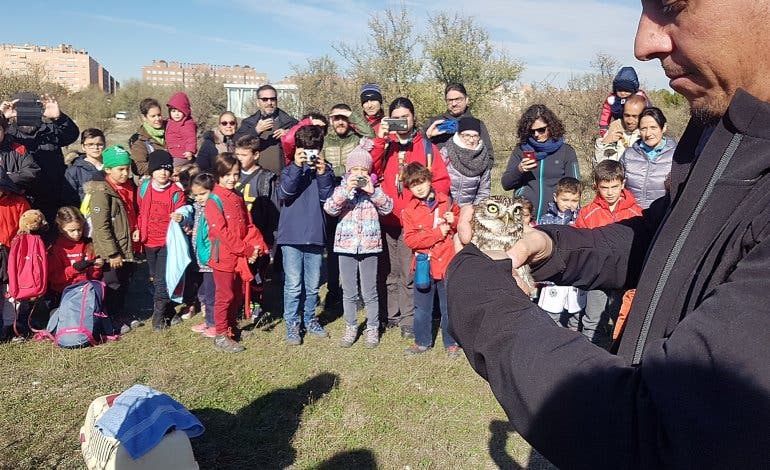 El Parque del Humedal de Coslada cuenta con un nuevo inquilino