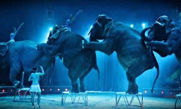 El circo con animales regresa a Madrid tras la prohibición de Carmena