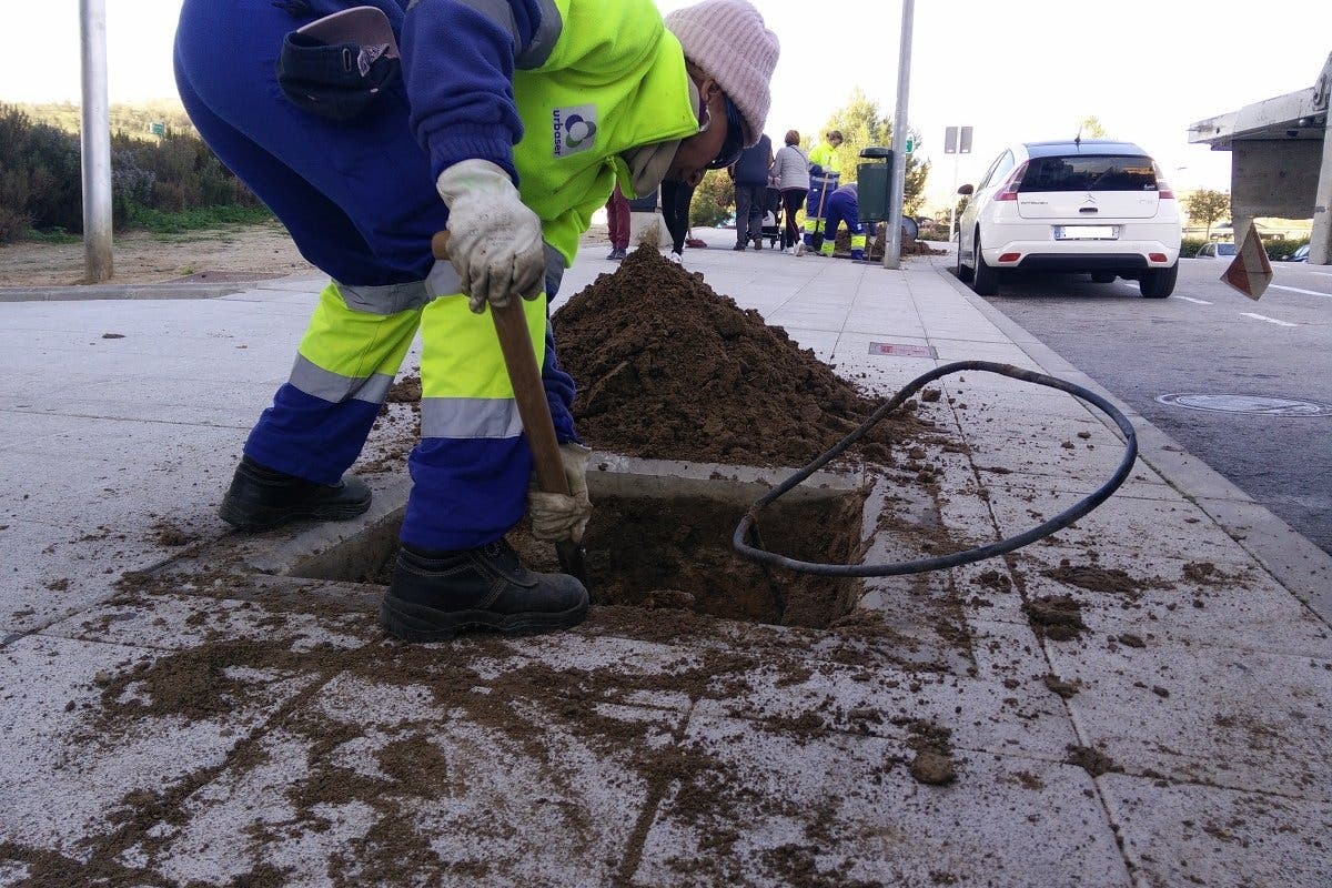 San Fernando de Henares inicia la plantación de más de 100 árboles