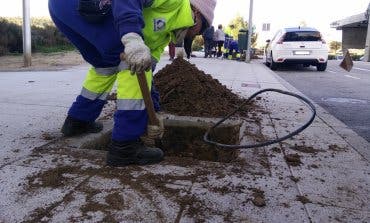 San Fernando de Henares inicia la plantación de más de 100 árboles