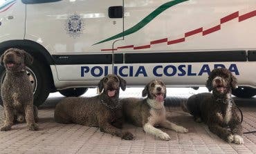 Hallan drogas y cuchillos en un local alquilado por jóvenes en Coslada
