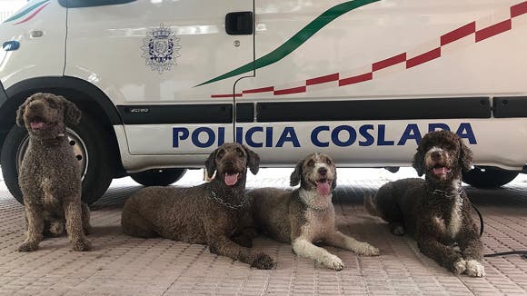 Hallan drogas y cuchillos en un local alquilado por jóvenes en Coslada