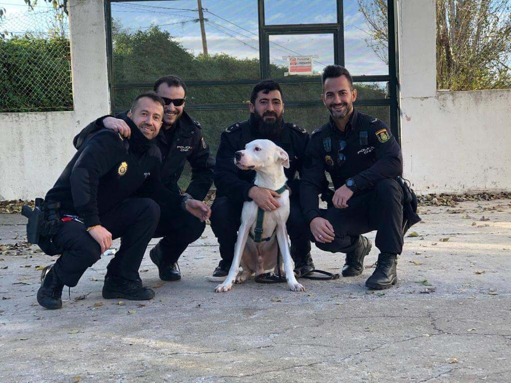 Rescatado en Alcalá de Henares un perro encerrado sin comida ni agua