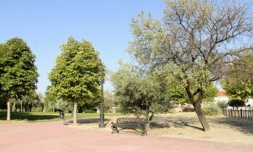 Arganda del Rey plantará 10.000 árboles para reducir las emisiones de CO2