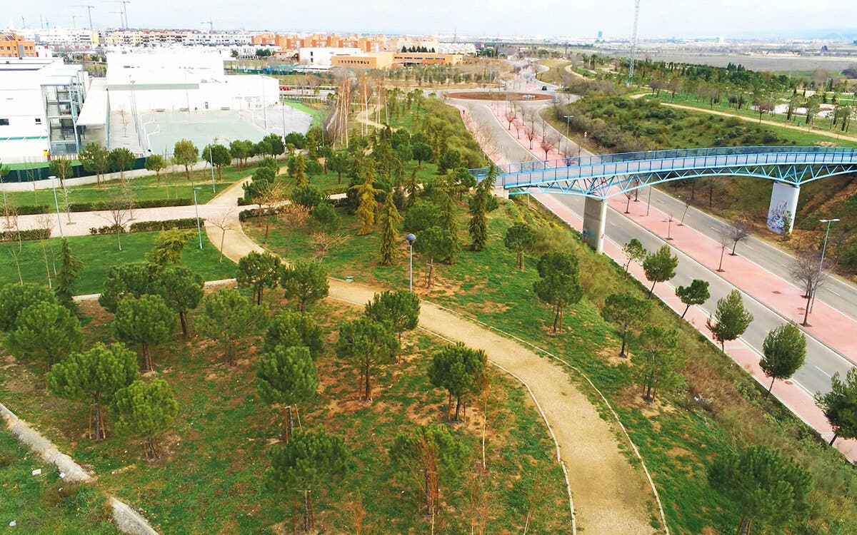 Torrejón de Ardoz planta 10.000 árboles en Soto del Henares