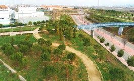 Torrejón de Ardoz planta 10.000 árboles en Soto del Henares