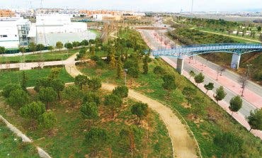 Torrejón de Ardoz planta 10.000 árboles en Soto del Henares
