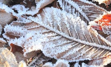 Un pueblo de Guadalajara registra la tercera temperatura más baja de España: -11,1 ºC 