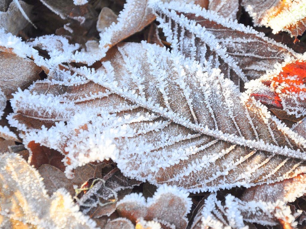 Guadalajara, en alerta por temperaturas mínimas de hasta 7 grados bajo cero