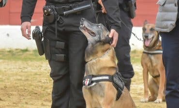 Se jubila Udyco, uno de los perros policía de Torrejón de Ardoz