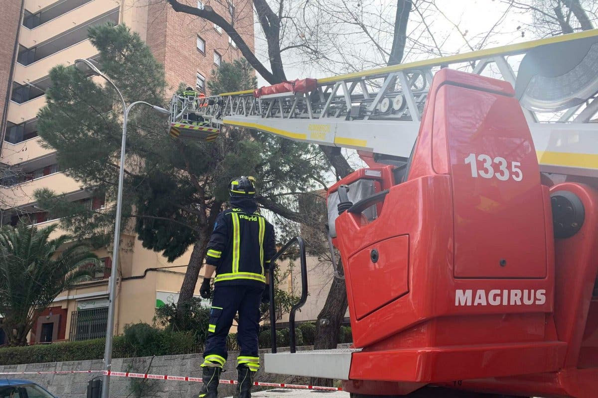 Los Bomberos realizan casi 500 intervenciones por el viento en la Comunidad de Madrid