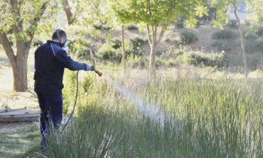 Azuqueca de Henares comienza a aplicar tratamientos contra los mosquitos