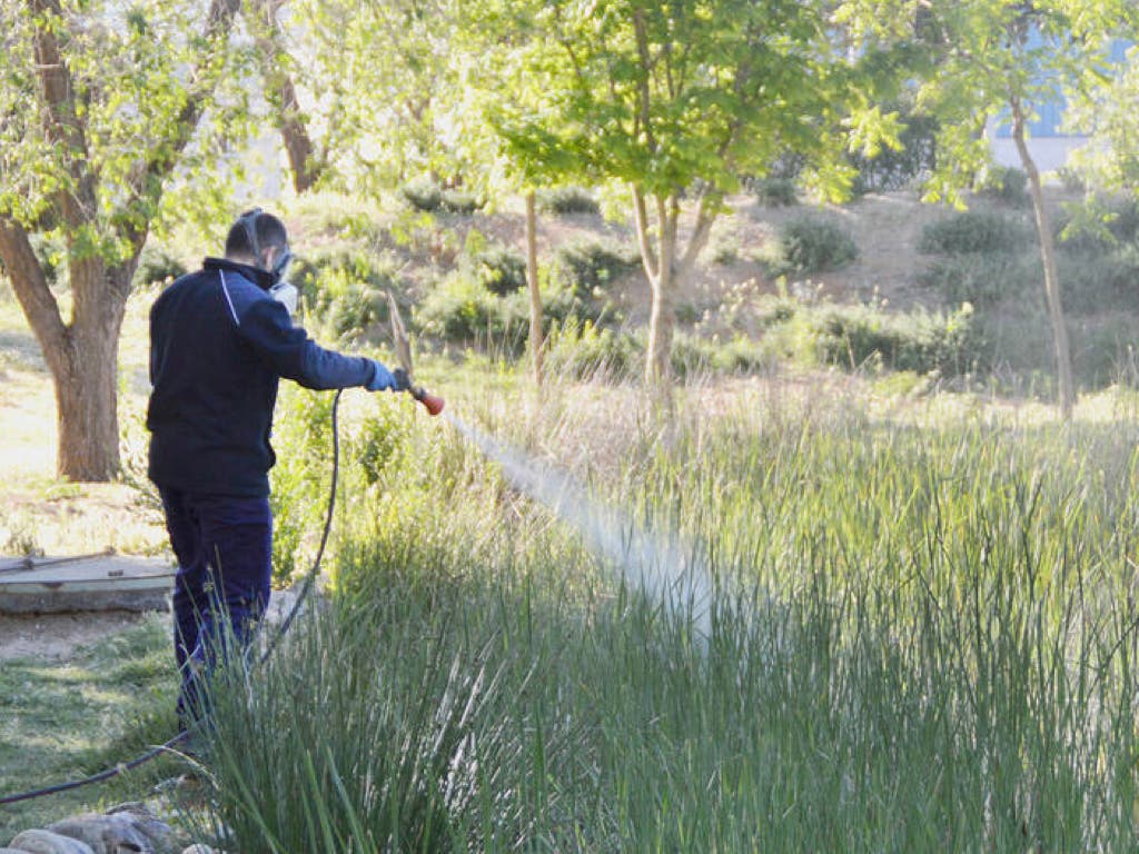 Azuqueca de Henares comienza a aplicar tratamientos contra los mosquitos