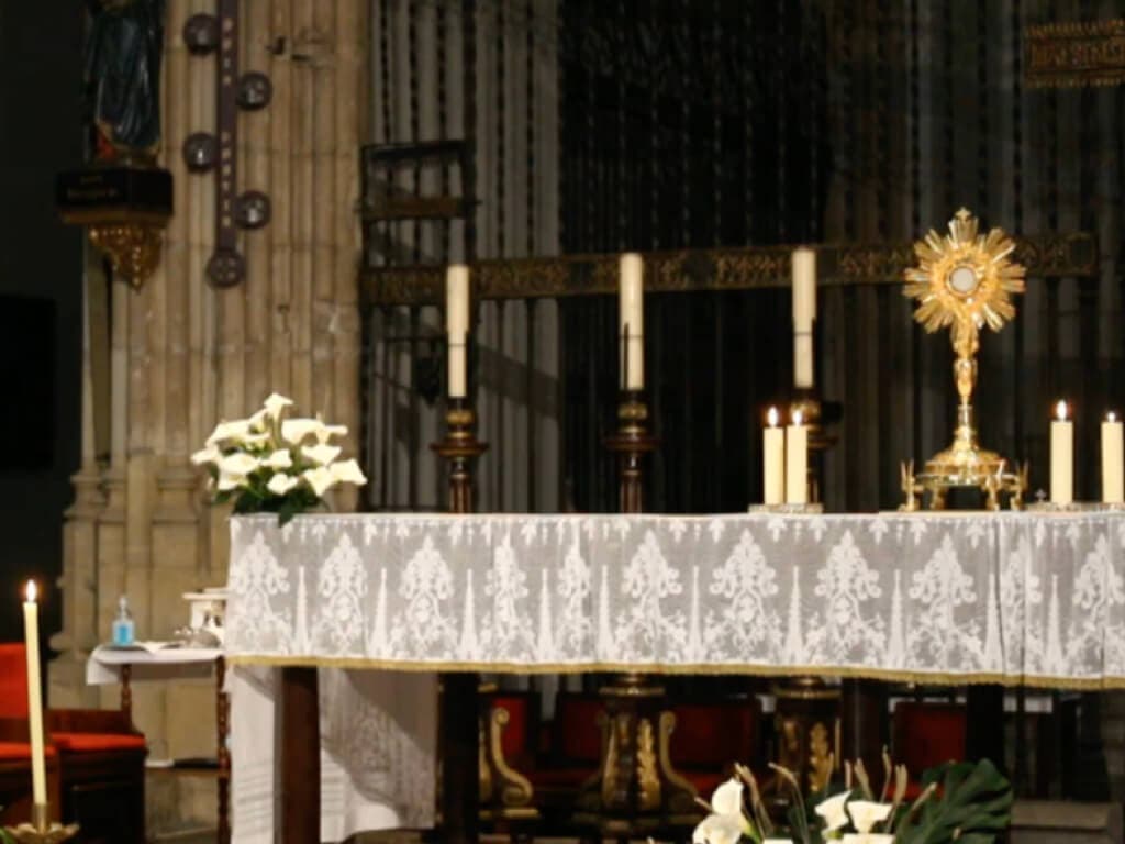 Alcalá de Henares: Admitida a trámite la querella contra los activistas LGTBI que irrumpieron en la catedral durante una misa