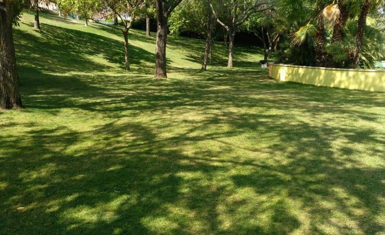 Loeches no abrirá su piscina de verano este año 