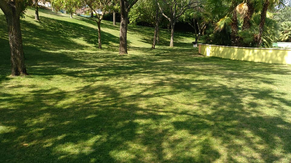 Loeches no abrirá su piscina de verano este año 