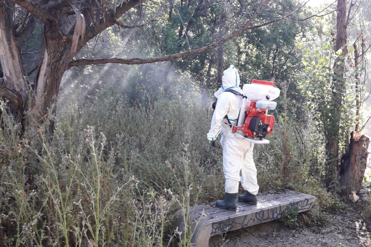 San Fernando de Henares comienza a luchar contra los mosquitos