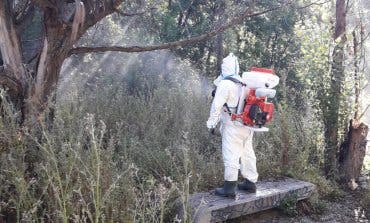 San Fernando de Henares comienza a luchar contra los mosquitos