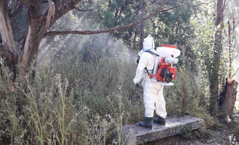 San Fernando de Henares comienza a luchar contra los mosquitos