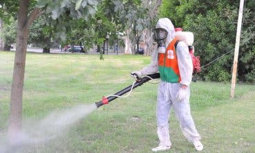 Mejorada del Campo inicia esta noche un tratamiento contra los mosquitos