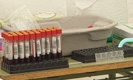 Test de coronavirus en Torrejón de Ardoz: Martes, apellidos que empiecen por M, N, Ñ, O, P, Q y R