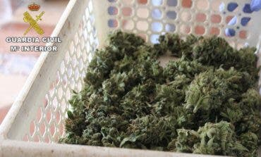 La Guardia Civil desmantela una plantación de marihuana indoor en El Casar
