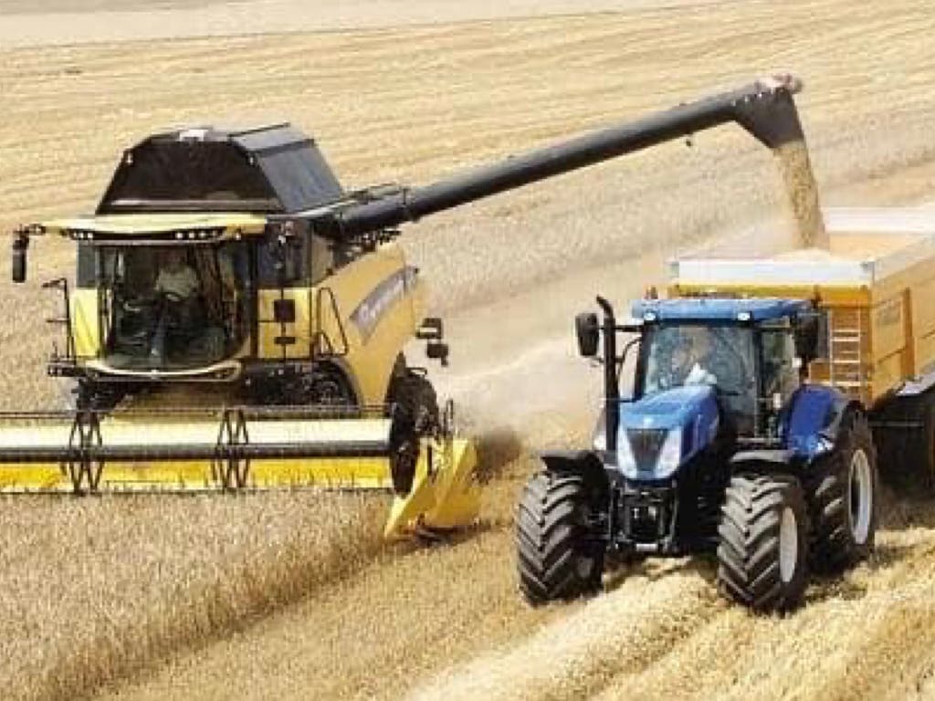 Tiempo de cosecha en los campos de cereal de Daganzo