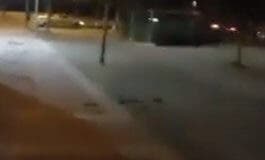 Alcalá de Henares: Las ratas campan a sus anchas por el barrio de Espartales 