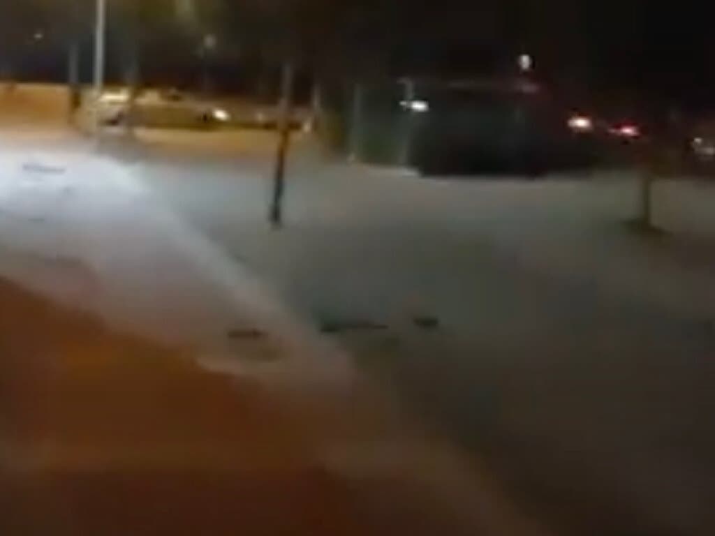 Alcalá de Henares: Las ratas campan a sus anchas por el barrio de Espartales 