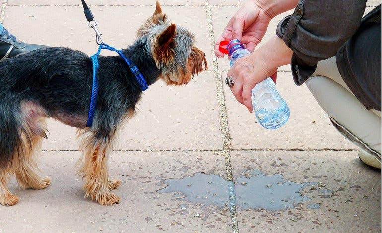 Aviso amarillo por temperaturas que rondarán los 40 grados en la Comunidad de Madrid