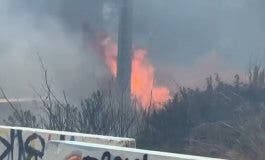 Un incendio de pastos en Vallecas provoca una gran columna de humo