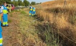 Reyerta entre clanes gitanos: Hallan un segundo cadáver en la cuneta de El Álamo
