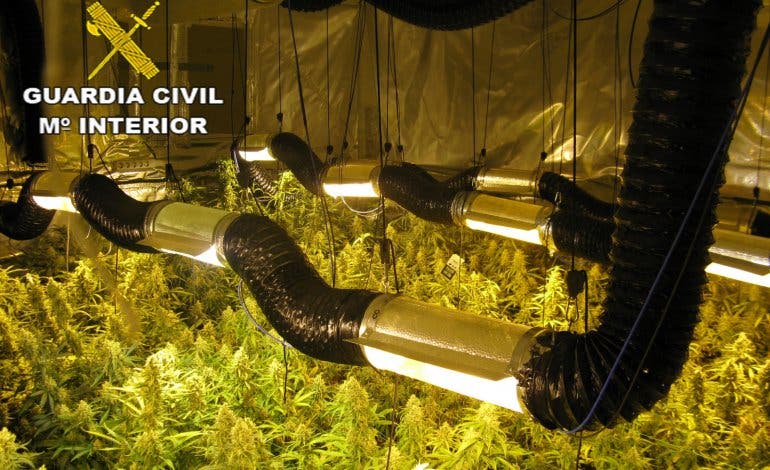 Detenidos padre e hijo por cultivar marihuana en una vivienda de Azuqueca de Henares