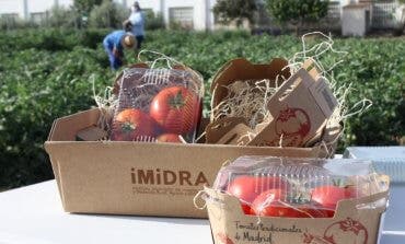 Madrid recupera en Arganda tres variedades de tomates de los años 60