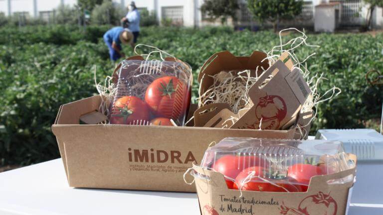 Madrid recupera en Arganda tres variedades de tomates de los años 60