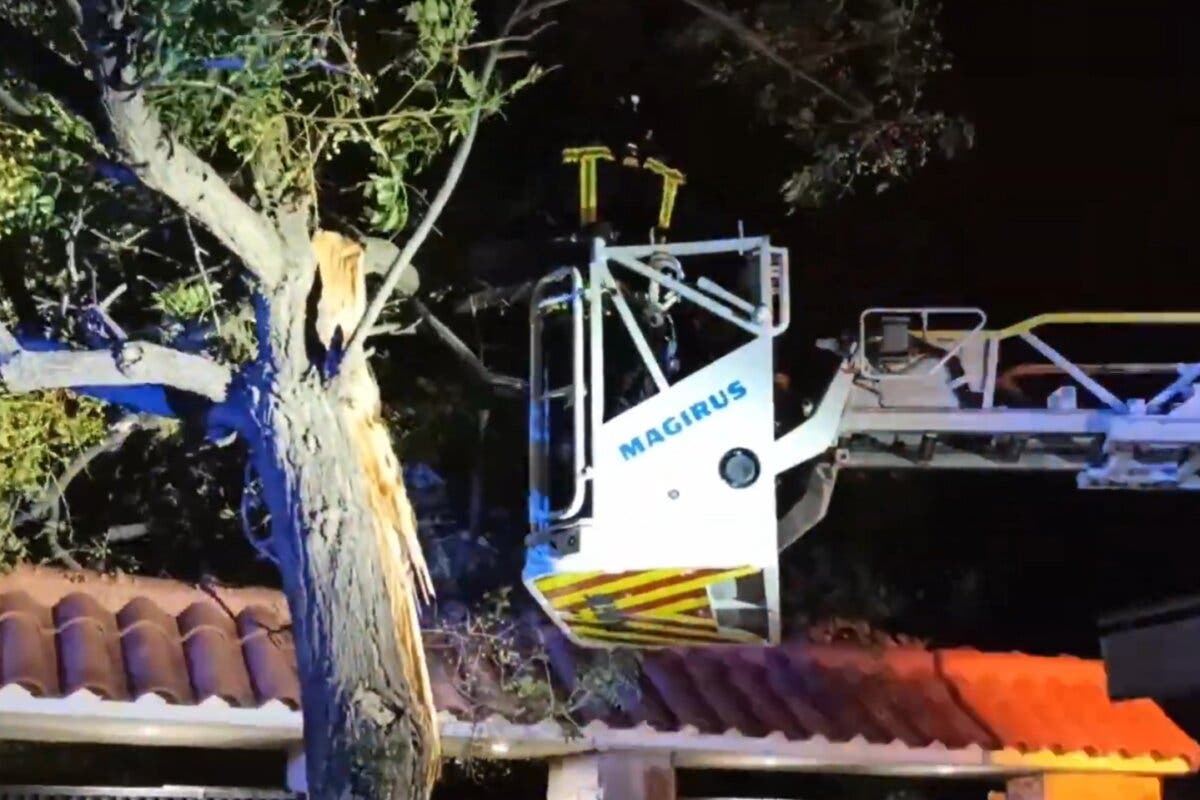 El Corredor del Henares, entre las zonas más afectadas por el viento esta madrugada