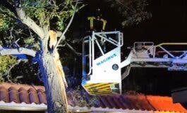 El Corredor del Henares, entre las zonas más afectadas por el viento esta madrugada