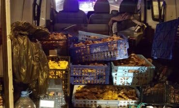 Denunciados tres vecinos de Alcalá de Henares por saltarse el cierre perimetral para buscar setas