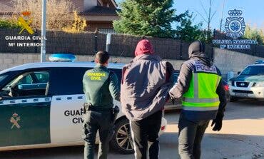 Seis detenidos en Guadalajara por cultivar más de 5.500 plantas de marihuana
