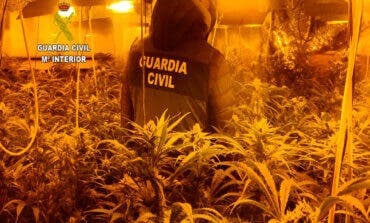 La Guardia Civil desmantela una plantación de marihuana en Valdeaveruelo