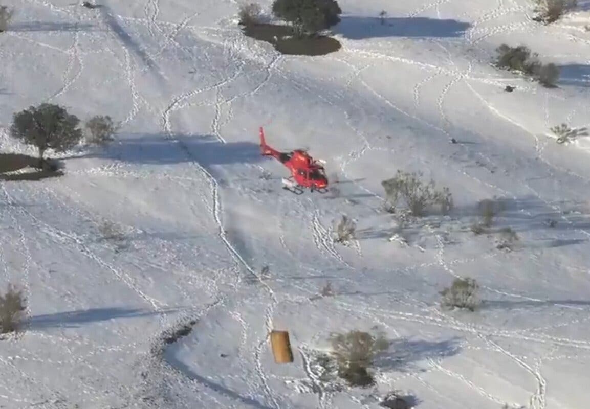 Madrid alimenta desde el aire a 400 animales aislados por la nieve