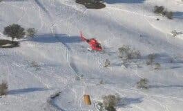Madrid alimenta desde el aire a 400 animales aislados por la nieve