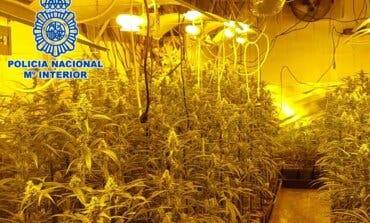 Cinco detenidos y 4.400 plantas de marihuana incautadas en dos chalés de Campo Real