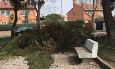 Denuncian que aún quedan restos del paso de Filomena en las calles de Coslada