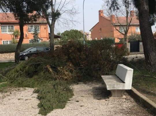 Denuncian que aún quedan restos del paso de Filomena en las calles de Coslada