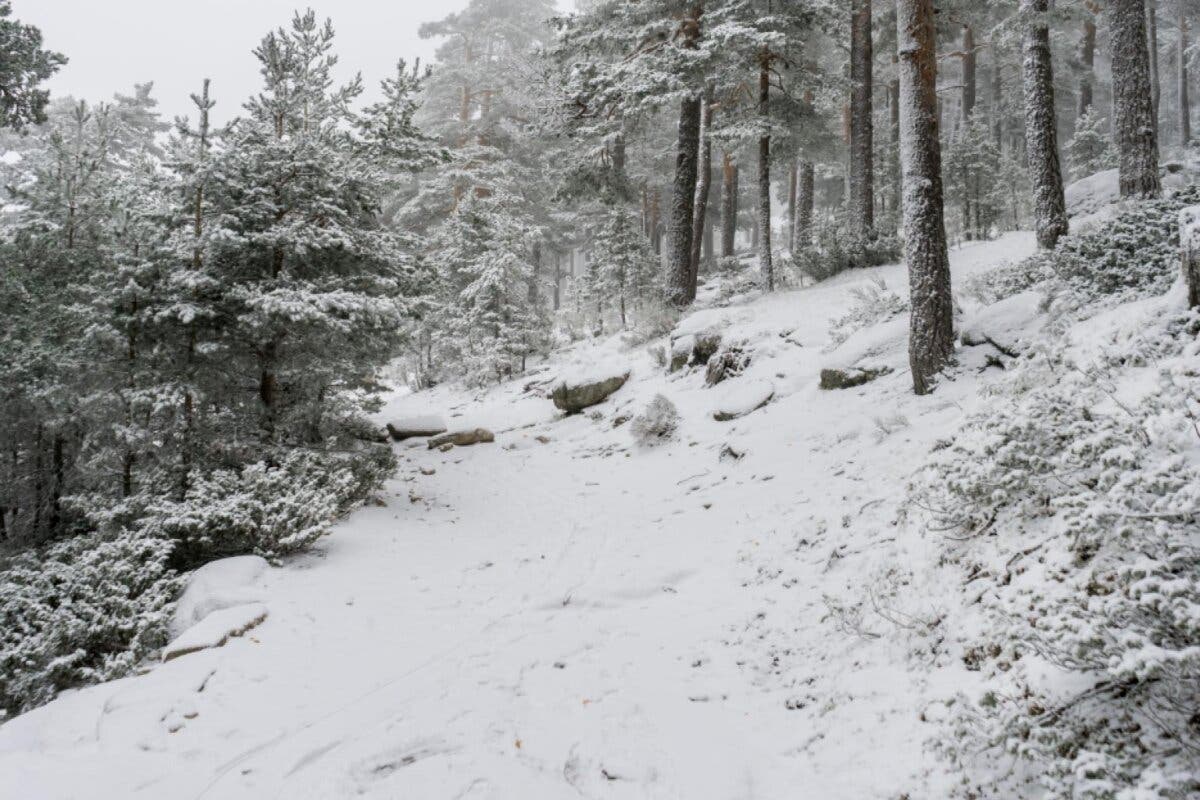 Frío y nieve este puente en Madrid: se pide evitar desplazamientos a la Sierra