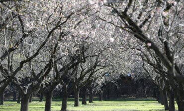 Siete parques históricos de Madrid reabren este jueves al completo tras los estragos de Filomena