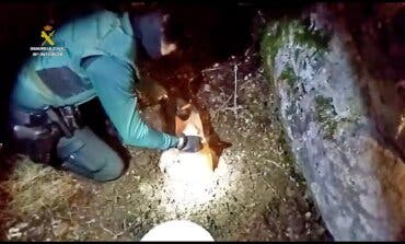 Hallan un zulo repleto de droga en Guadalajara y detienen a 10 personas 
